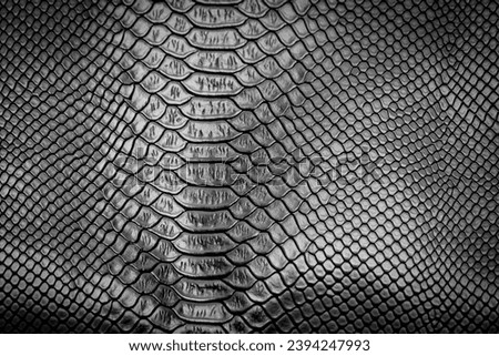 Black snake skin texture pattern can see the surface details use for background