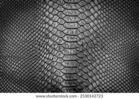 Black snake skin texture pattern can see the surface details use for background