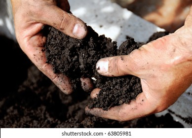 black soil in man hand closeup outdoor
