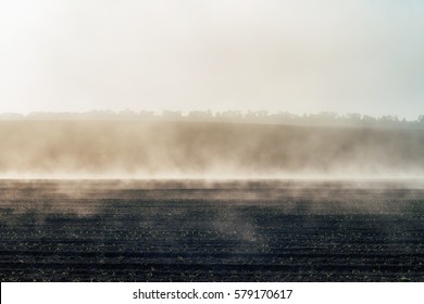 Black soil in morning light with fog