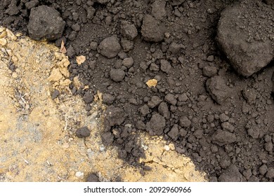 black soil prepared for landscaping and poured onto a clay surface, selective focus