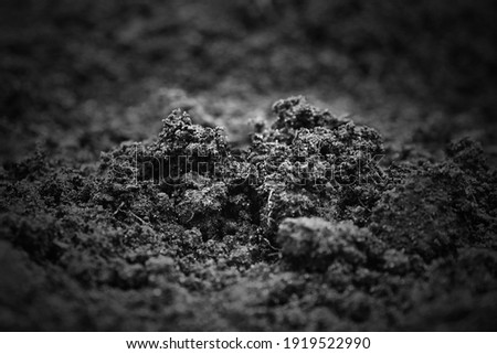 Similar – Image, Stock Photo Barnacles on the stones of the beach of Las Catedrales, Lugo, Spain