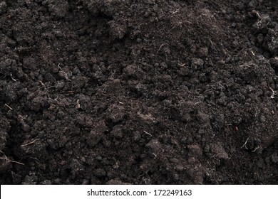 Black Soil Texture