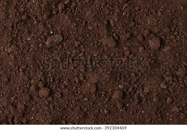 Black Soil Texture Background Top View Stock Photo (Edit Now) 392304469