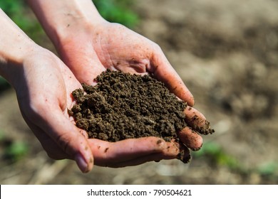 Black soil in woman hands, sunny day