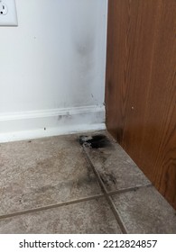 Black Soot Smoke Damage On Tile Floor And White Wall From Appliance Failure.