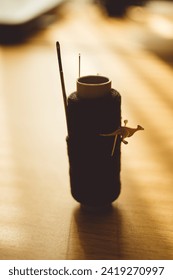 Black spool of thread with many different needles on the brown sunny table.