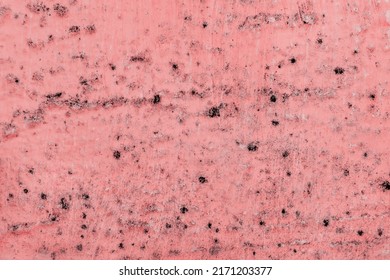 Black spots of fungal bacteria and mold on a red wall in a house or apartment. The concept of excessive humidity, improper air exchange and condensation. Poor ventilation. Soft focus.