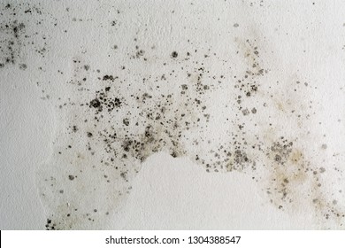 Black spots of toxic mold and fungus bacteria on a white wall. Concept of condensation, damp, water infiltration, high humidity and respiratory problems. 