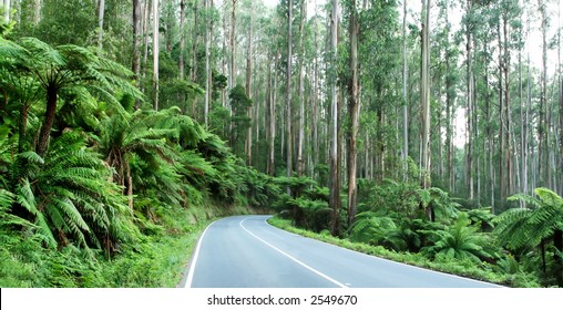 3,576 Black Spur Stock Photos, Images & Photography | Shutterstock