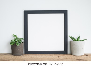 Black Square Frame Poster With Houseplants On Wooden Table