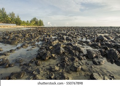 Pantai Batu Hitam High Res Stock Images Shutterstock