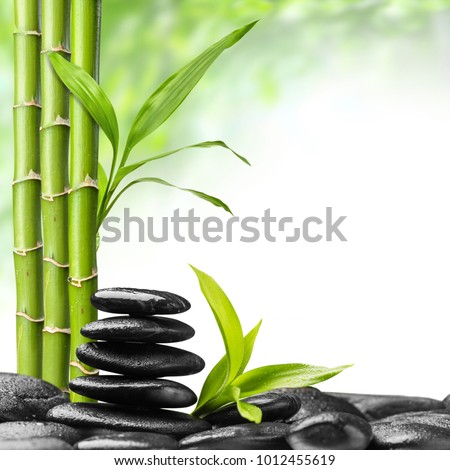 black stones and bamboo grove with leaves on the white