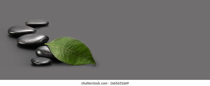 Black stones with green leaf on gray. Horizontal nature background. - Powered by Shutterstock