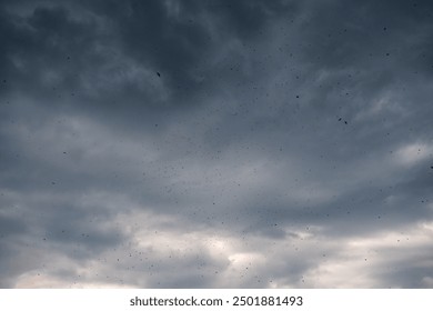 black storm clouds announcing a storm