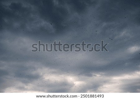 black storm clouds announcing a storm