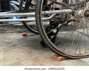 A black stray cat hides behind the wheel of a tricycle. - Powered by Shutterstock