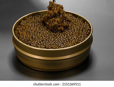 Black Sturgeon Caviar In Round Golden Jar. Eating Caviar With Spoon.