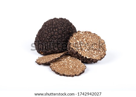Black summer truffle Tuber Aestivum Foto d'archivio © 