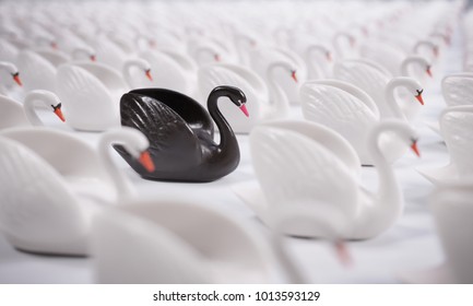 Black Swan Event. Concept.

This is a term used to describe a very rare or otherwise unexpected event that has a major effect. It is a metaphor often used in science or economics.
