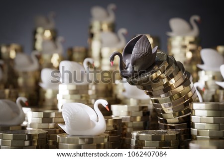 Black Swan Event. Money Concept. This is a term used to describe a very rare or otherwise unexpected event that has a major effect. It is a metaphor often used in science or economics or finance.