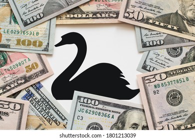 The Black Swan - Symbol Of Random And Unexpected Financial Market Moves