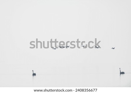 Similar – Image, Stock Photo Black Peter Winter Snow