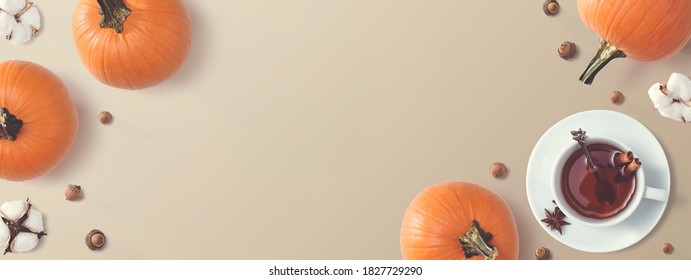 Black Tea With Pumpkins And Cinnamon Sticks - Overhead View