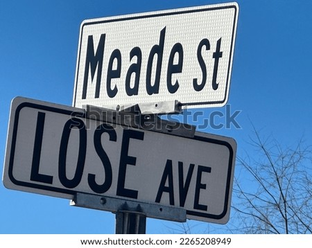 Black text on white background corner of Meade Street and Lose Ave. avenue street signs in Loyalsock Township, Pennsylvania.
