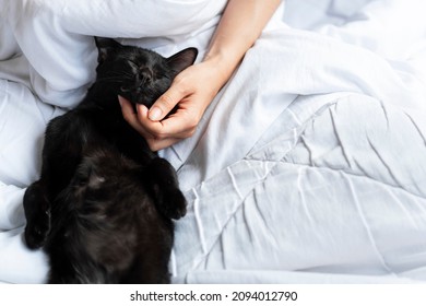 A Black Thai Cat Snuggled Up To The Hand Of A Woman Scratching His Chin On A White Bed.