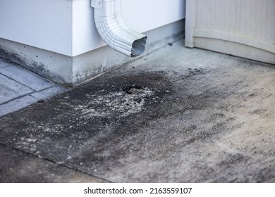 Black Thick And Slimy Gutter Sludge On The Cement Driveway From The Downspout Drain That Needs To Be Cleaned.