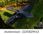 Black throwing knives on a mossy stump in a sunny forest.Sport and hobby concept.Outdoor sports.Sports equipment. 