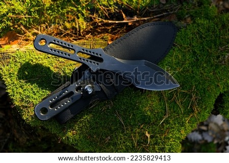 Black throwing knives on a mossy stump in a sunny forest.Sport and hobby concept.Outdoor sports.Sports equipment. 