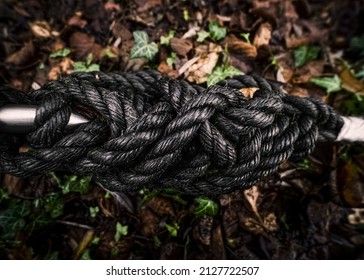 A Black Tight Rope In An Autumn Forest