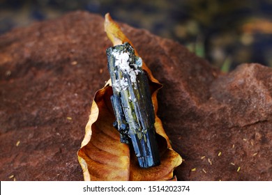 black tourmaline stone over yellow dry leaf in natural environment
