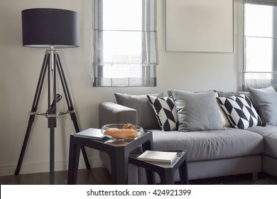 Black Tripod Standing Lamp With Gray Tone Living Area