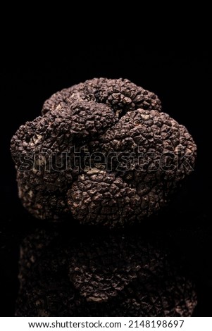 Black Truffle on black background
