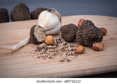 Black Truffle, Tuber Melanosporum, Périgord Truffle Or French Black Truffle