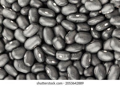 Black Turtle Bean Background Texture. Phaseolus Vulgaris