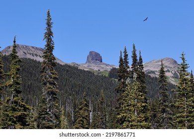 The Black Tusk Mountain Which Is The Landing Place Of The Thunderbird In First Nation's Legend