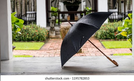 Black Umbrella On The Floor