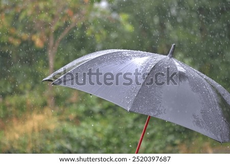 Black umbrella in the pouring rain