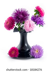 black vase with bouquet beautiful and multicoloured asters on white background