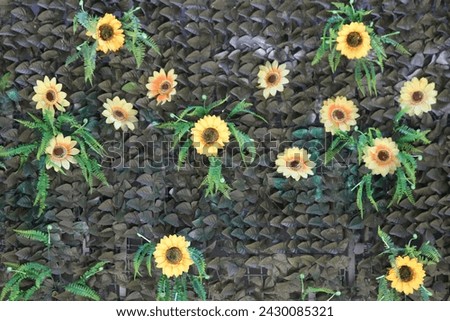 Black Wall of Yellow and Green Sunflowers