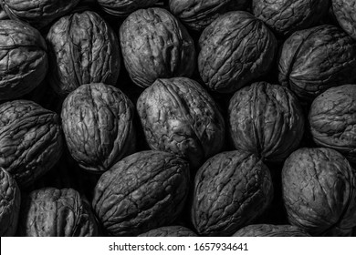 Black Walnuts With Shells. Background Of Black Walnuts.