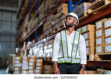 A Black Warehouse Manager Standing In A Large Distribution Center - The Concept Of Career And Occupation