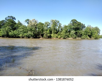 The Black Warrior River In Moundville, Alabama