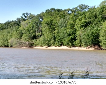 The Black Warrior River In Moundville, Alabama