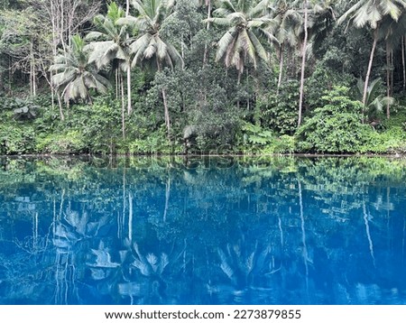 Similar – Pool with jungle