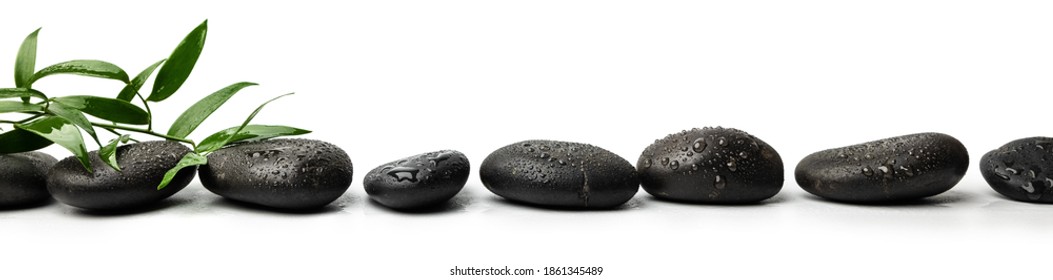 Black Wet Spa Massage Stones Isolated On White Background With Green Plant. Banner